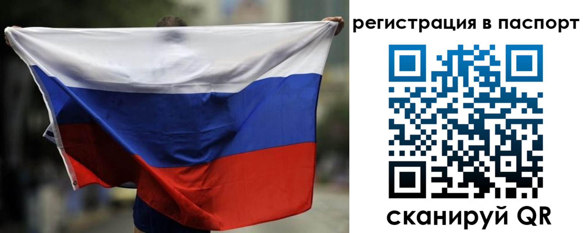 прописка 2025 в Сольцах