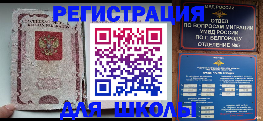 прописка гарантия в Сольцах